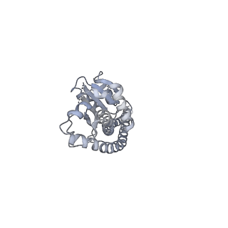 25968_7tkg_G_v1-0
Yeast ATP synthase State 2catalytic(a) with 10 mM ATP backbone model