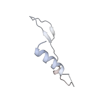 25968_7tkg_I_v1-1
Yeast ATP synthase State 2catalytic(a) with 10 mM ATP backbone model