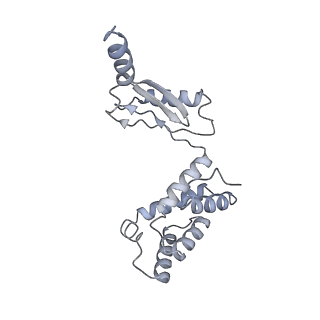25968_7tkg_O_v1-0
Yeast ATP synthase State 2catalytic(a) with 10 mM ATP backbone model