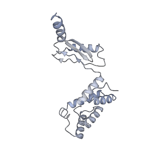 25968_7tkg_O_v1-1
Yeast ATP synthase State 2catalytic(a) with 10 mM ATP backbone model