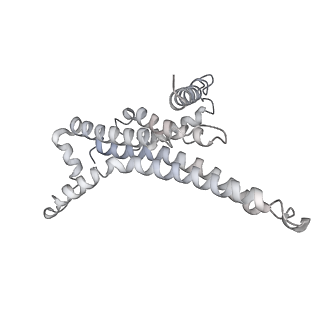 25968_7tkg_T_v1-0
Yeast ATP synthase State 2catalytic(a) with 10 mM ATP backbone model