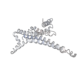 25968_7tkg_T_v1-1
Yeast ATP synthase State 2catalytic(a) with 10 mM ATP backbone model