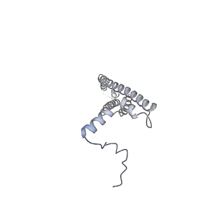 25968_7tkg_V_v1-1
Yeast ATP synthase State 2catalytic(a) with 10 mM ATP backbone model