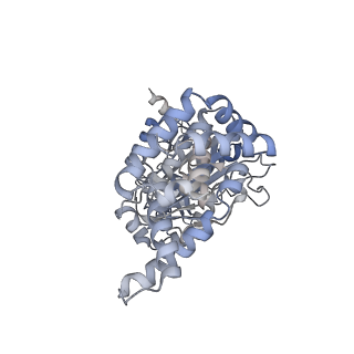 25969_7tkh_A_v1-0
Yeast ATP synthase State 2catalytic(b) with 10 mM ATP backbone model