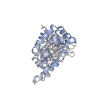 25969_7tkh_A_v1-1
Yeast ATP synthase State 2catalytic(b) with 10 mM ATP backbone model