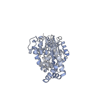 25969_7tkh_B_v1-0
Yeast ATP synthase State 2catalytic(b) with 10 mM ATP backbone model