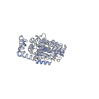 25969_7tkh_C_v1-0
Yeast ATP synthase State 2catalytic(b) with 10 mM ATP backbone model