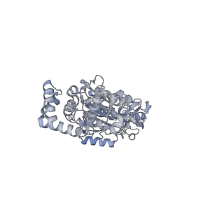 25969_7tkh_C_v1-1
Yeast ATP synthase State 2catalytic(b) with 10 mM ATP backbone model