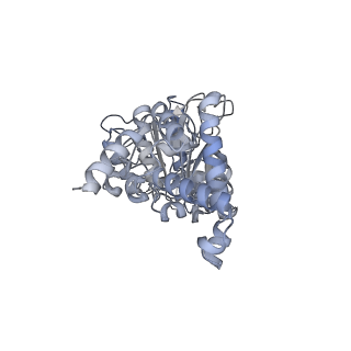 25969_7tkh_D_v1-0
Yeast ATP synthase State 2catalytic(b) with 10 mM ATP backbone model