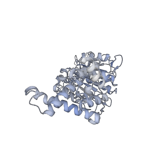 25969_7tkh_E_v1-0
Yeast ATP synthase State 2catalytic(b) with 10 mM ATP backbone model