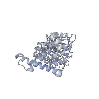 25969_7tkh_E_v1-1
Yeast ATP synthase State 2catalytic(b) with 10 mM ATP backbone model