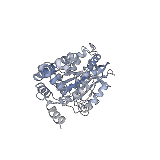 25969_7tkh_F_v1-0
Yeast ATP synthase State 2catalytic(b) with 10 mM ATP backbone model