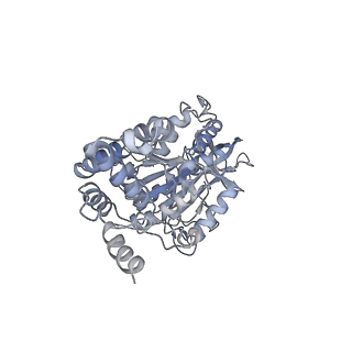 25969_7tkh_F_v1-1
Yeast ATP synthase State 2catalytic(b) with 10 mM ATP backbone model