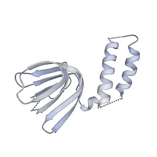 25969_7tkh_H_v1-1
Yeast ATP synthase State 2catalytic(b) with 10 mM ATP backbone model