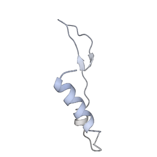 25969_7tkh_I_v1-0
Yeast ATP synthase State 2catalytic(b) with 10 mM ATP backbone model