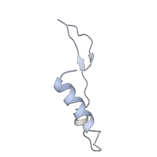 25969_7tkh_I_v1-1
Yeast ATP synthase State 2catalytic(b) with 10 mM ATP backbone model