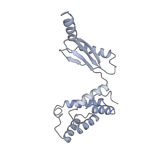 25969_7tkh_O_v1-0
Yeast ATP synthase State 2catalytic(b) with 10 mM ATP backbone model