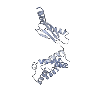 25969_7tkh_O_v1-1
Yeast ATP synthase State 2catalytic(b) with 10 mM ATP backbone model