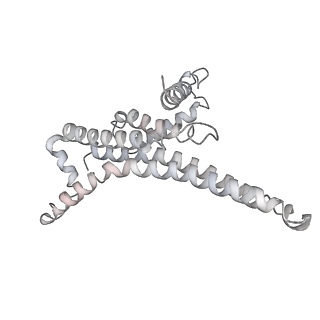 25969_7tkh_T_v1-0
Yeast ATP synthase State 2catalytic(b) with 10 mM ATP backbone model