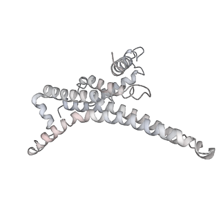 25969_7tkh_T_v1-1
Yeast ATP synthase State 2catalytic(b) with 10 mM ATP backbone model