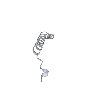 25969_7tkh_Z_v1-1
Yeast ATP synthase State 2catalytic(b) with 10 mM ATP backbone model