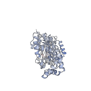 25974_7tkm_B_v1-0
Yeast ATP synthase State 3binding(b) with 10 mM ATP backbone model