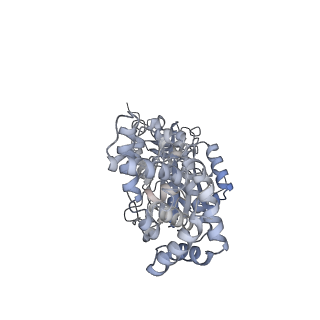 25974_7tkm_B_v1-1
Yeast ATP synthase State 3binding(b) with 10 mM ATP backbone model