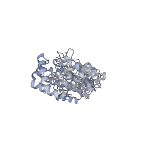 25974_7tkm_C_v1-0
Yeast ATP synthase State 3binding(b) with 10 mM ATP backbone model