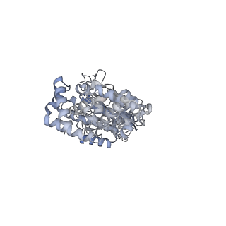 25974_7tkm_C_v1-1
Yeast ATP synthase State 3binding(b) with 10 mM ATP backbone model