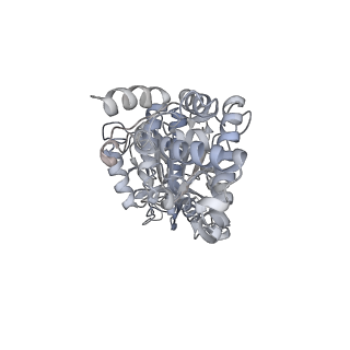 25974_7tkm_D_v1-0
Yeast ATP synthase State 3binding(b) with 10 mM ATP backbone model