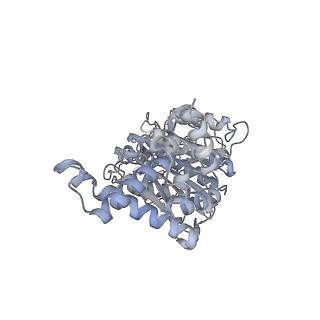 25974_7tkm_E_v1-0
Yeast ATP synthase State 3binding(b) with 10 mM ATP backbone model