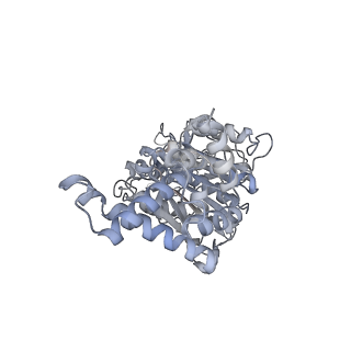 25974_7tkm_E_v1-1
Yeast ATP synthase State 3binding(b) with 10 mM ATP backbone model