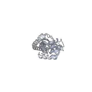 25974_7tkm_G_v1-0
Yeast ATP synthase State 3binding(b) with 10 mM ATP backbone model