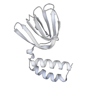 25974_7tkm_H_v1-1
Yeast ATP synthase State 3binding(b) with 10 mM ATP backbone model