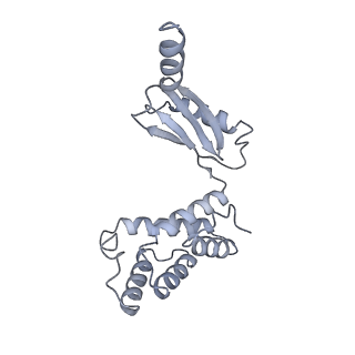 25974_7tkm_O_v1-1
Yeast ATP synthase State 3binding(b) with 10 mM ATP backbone model