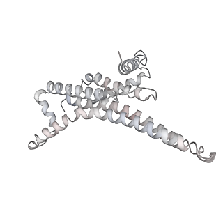 25974_7tkm_T_v1-0
Yeast ATP synthase State 3binding(b) with 10 mM ATP backbone model