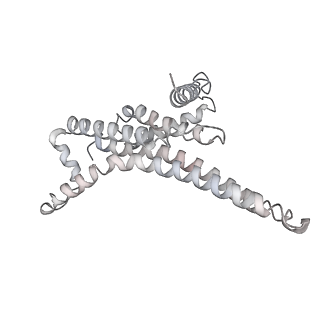 25974_7tkm_T_v1-1
Yeast ATP synthase State 3binding(b) with 10 mM ATP backbone model