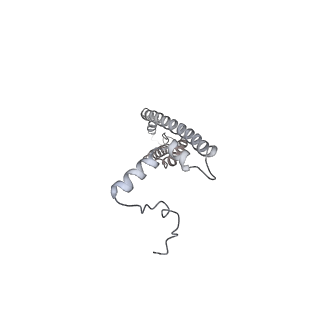 25974_7tkm_V_v1-0
Yeast ATP synthase State 3binding(b) with 10 mM ATP backbone model
