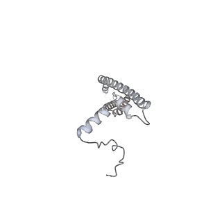 25974_7tkm_V_v1-1
Yeast ATP synthase State 3binding(b) with 10 mM ATP backbone model