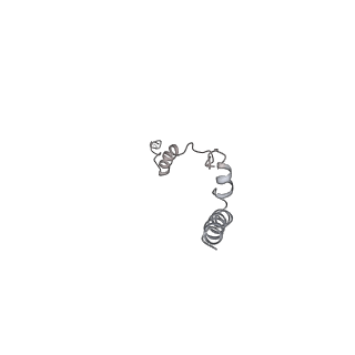 25974_7tkm_W_v1-1
Yeast ATP synthase State 3binding(b) with 10 mM ATP backbone model