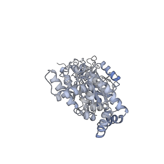 25976_7tko_B_v1-1
Yeast ATP synthase State 3catalytic(a) with 10 mM ATP backbone model