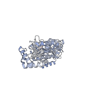 25976_7tko_C_v1-0
Yeast ATP synthase State 3catalytic(a) with 10 mM ATP backbone model