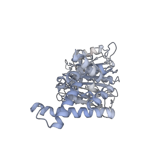 25976_7tko_E_v1-0
Yeast ATP synthase State 3catalytic(a) with 10 mM ATP backbone model