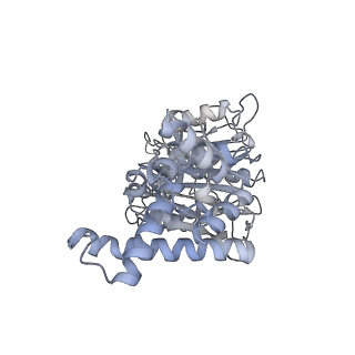 25976_7tko_E_v1-1
Yeast ATP synthase State 3catalytic(a) with 10 mM ATP backbone model