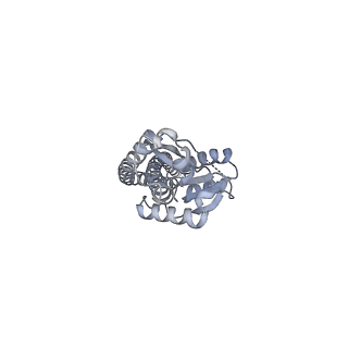 25976_7tko_G_v1-0
Yeast ATP synthase State 3catalytic(a) with 10 mM ATP backbone model