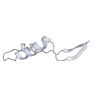 25976_7tko_I_v1-1
Yeast ATP synthase State 3catalytic(a) with 10 mM ATP backbone model