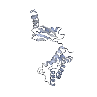 25976_7tko_O_v1-1
Yeast ATP synthase State 3catalytic(a) with 10 mM ATP backbone model