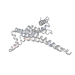 25976_7tko_T_v1-0
Yeast ATP synthase State 3catalytic(a) with 10 mM ATP backbone model