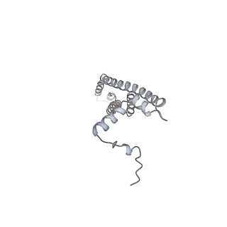 25976_7tko_V_v1-0
Yeast ATP synthase State 3catalytic(a) with 10 mM ATP backbone model