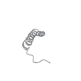 25976_7tko_Z_v1-1
Yeast ATP synthase State 3catalytic(a) with 10 mM ATP backbone model